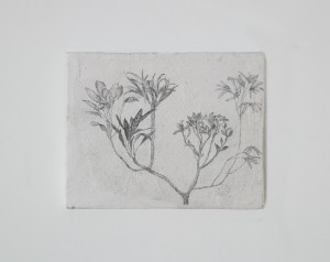 http://sinaelee.co.kr/files/gimgs/th-10_10.jpg